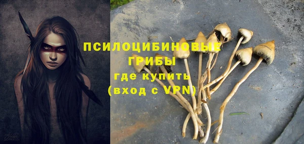 прущие крисы Беломорск
