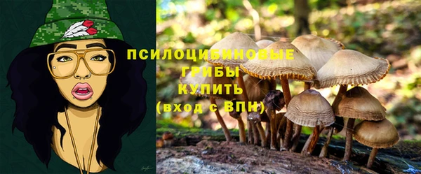 кокаин Белокуриха