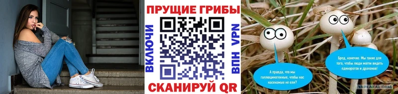 Галлюциногенные грибы мухоморы  мега зеркало  Кудрово 